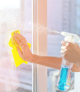 Floor & Window Care